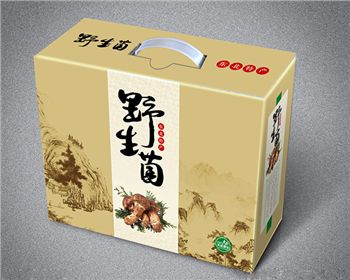 紙(zhi)箱印版的種類(lèi)和特性